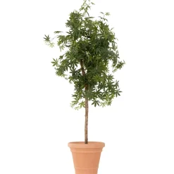 Pflanzgefäße*SIENA GARDEN Amalia Blumentopf