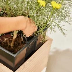 Pflanzgefäße*SIENA GARDEN Belina Box Kiefer FSC® 100%