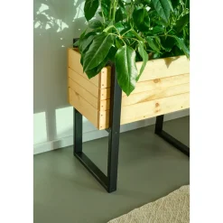 Pflanzgefäße*SIENA GARDEN Kelly Pflanzkasten Kiefer FSC® 100%