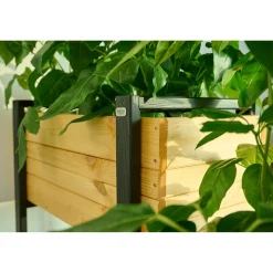Pflanzgefäße*SIENA GARDEN Konny Pflanzkasten Kiefer FSC® 100%