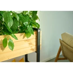 Pflanzgefäße*SIENA GARDEN Konny Pflanzkasten Kiefer FSC® 100%