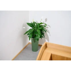 Pflanzgefäße*SIENA GARDEN Locon Groove Blumentopf