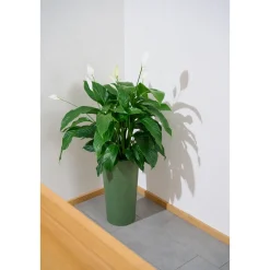 Pflanzgefäße*SIENA GARDEN Locon Groove Blumentopf