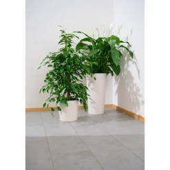 Pflanzgefäße*SIENA GARDEN Locon Groove Blumentopf