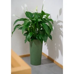 Pflanzgefäße*SIENA GARDEN Locon Groove Blumentopf