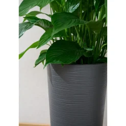 Pflanzgefäße*SIENA GARDEN Locon Groove Blumentopf
