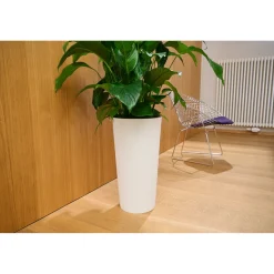 Pflanzgefäße*SIENA GARDEN Locon Stripe Blumentopf