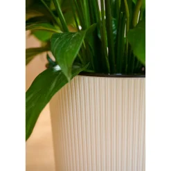 Pflanzgefäße*SIENA GARDEN Locon Stripe Blumentopf