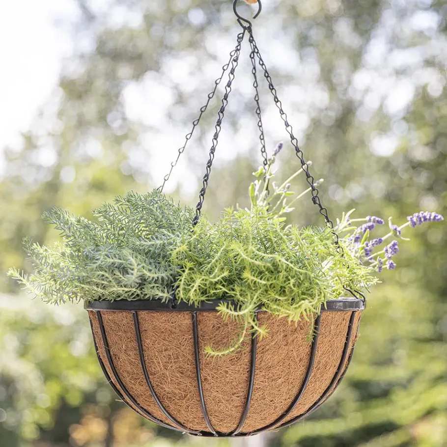 Pflanzgefäße*SIENA GARDEN Wrought Hängeampel